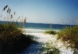 Florida beach