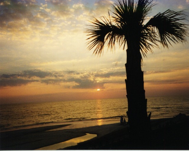 Sunset in Florida